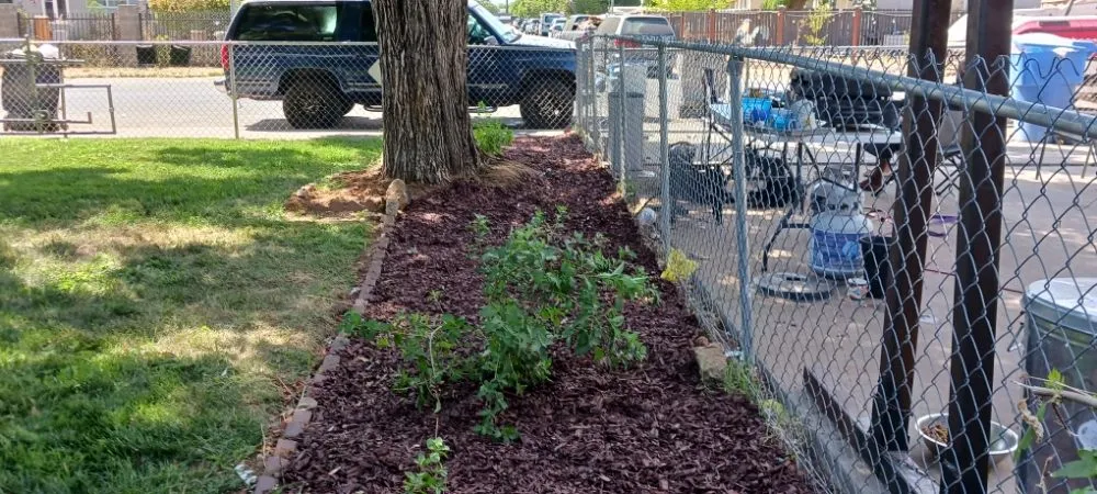 Slide of Gonazalez Landscaping & Services