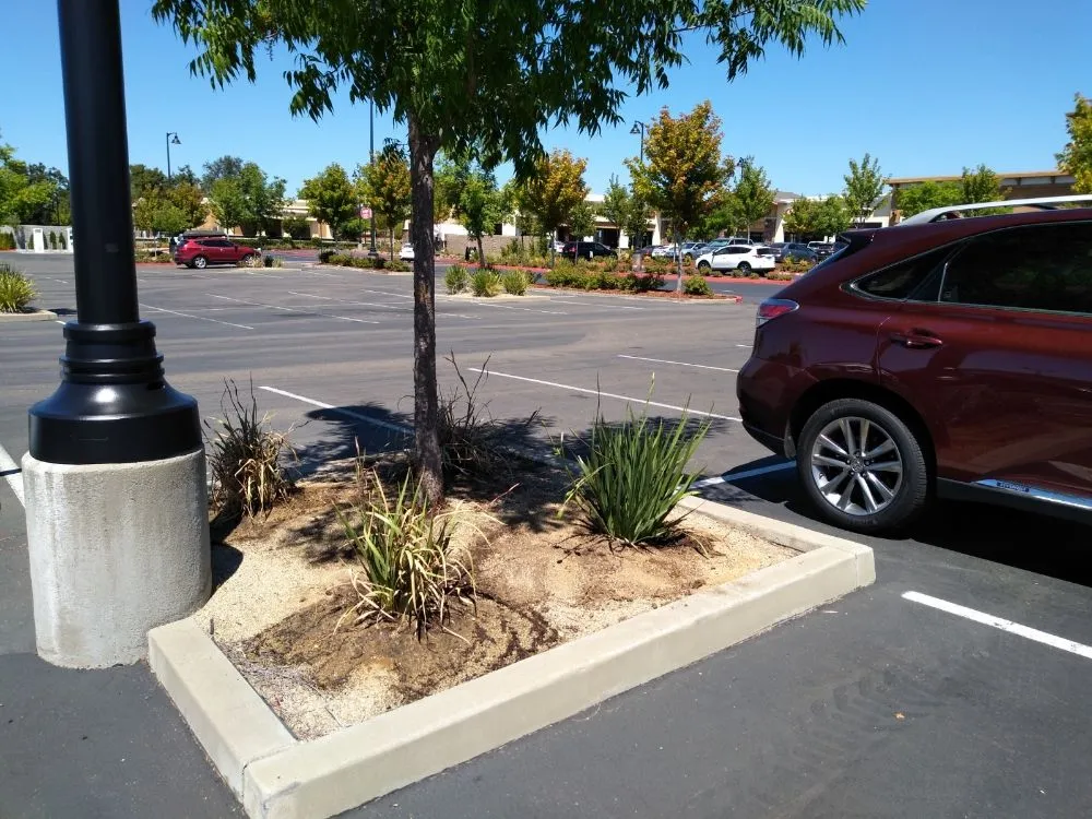 Slide of Gonazalez Landscaping & Services