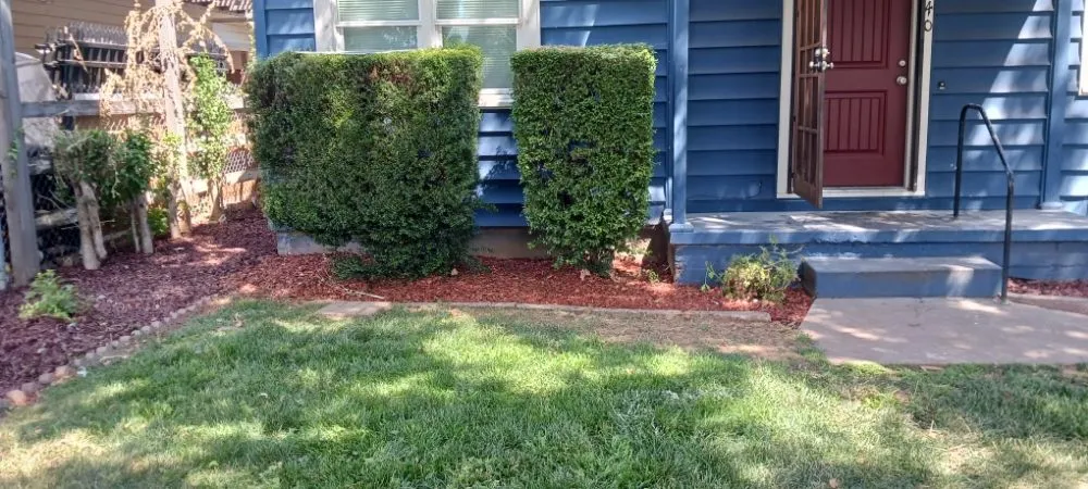 Slide of Gonazalez Landscaping & Services