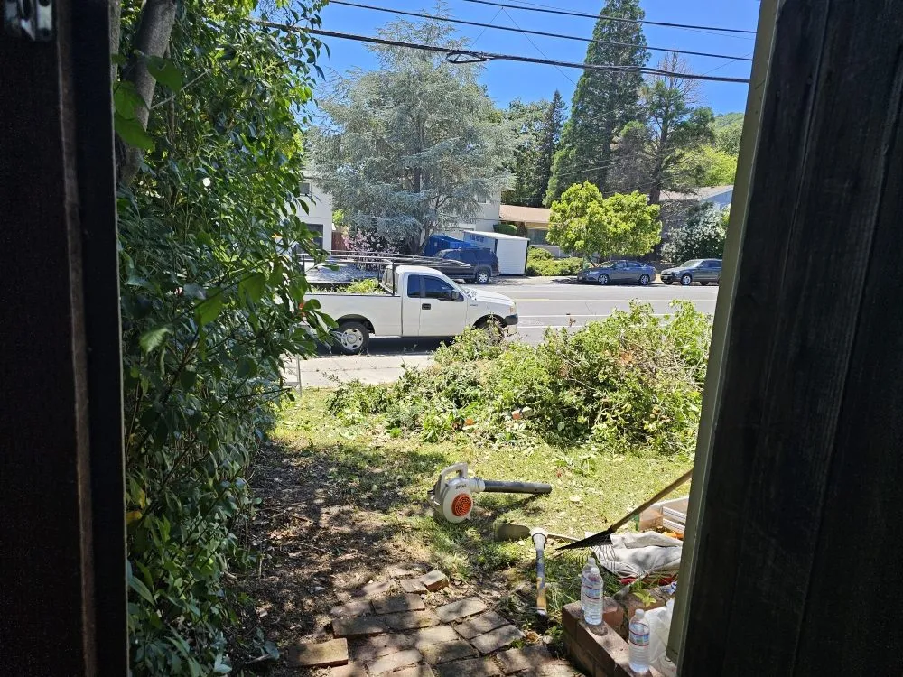 Slide of Gonzalez Home Service