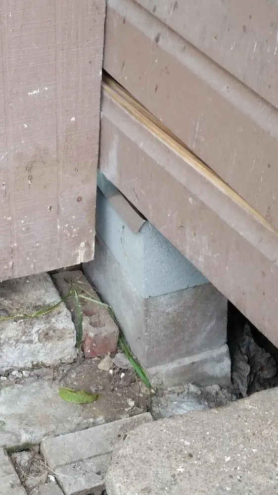 Slide of Gonzo Foundation Repair