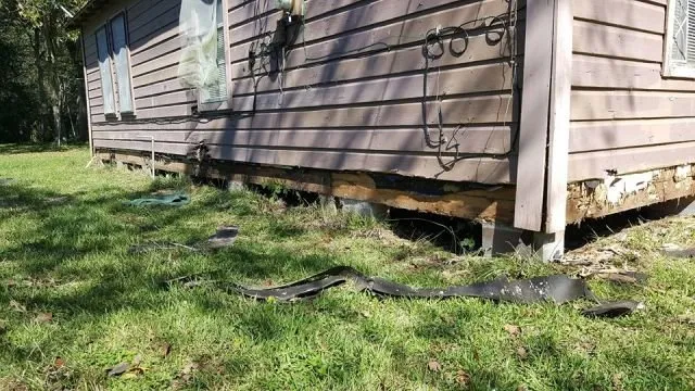 Slide of Gonzo Foundation Repair