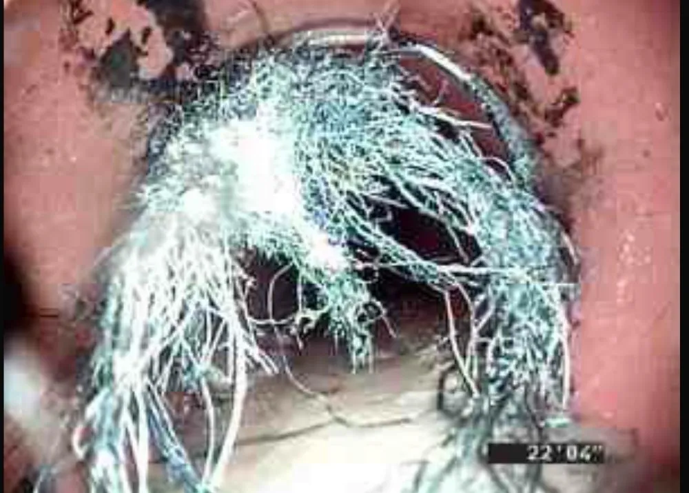 Slide of Good Earth Plumbing