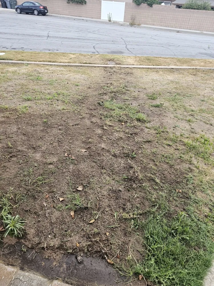 Slide of Good Guy Plumbing