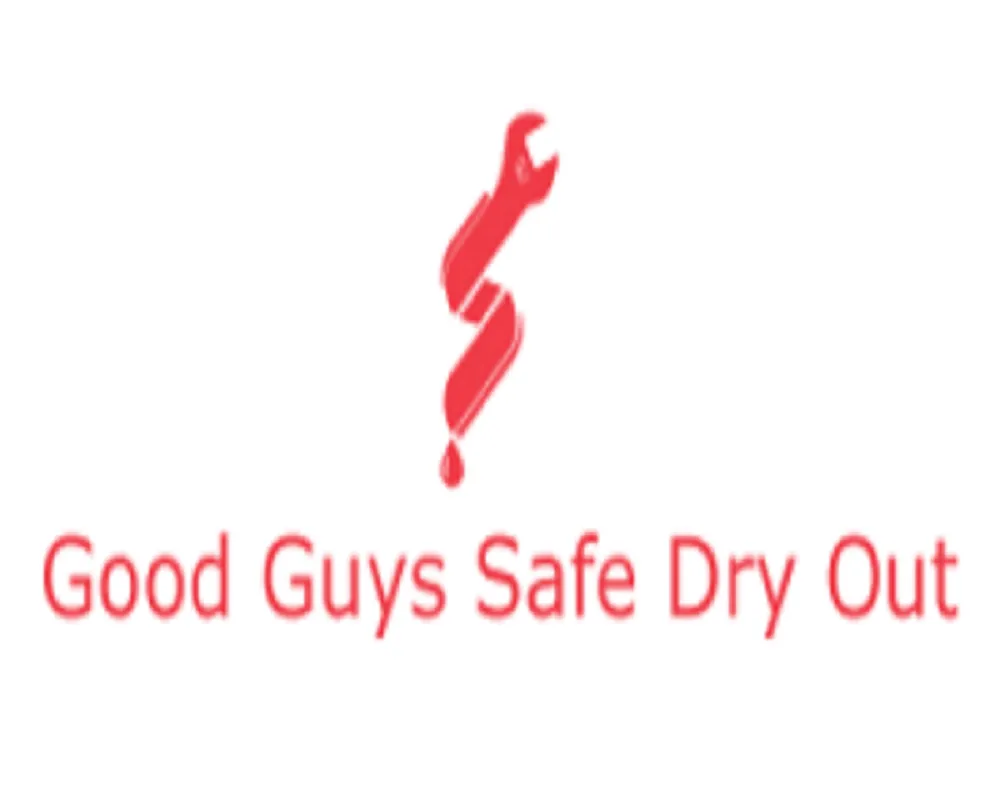 Slide of Good Guys Safe Dry Out