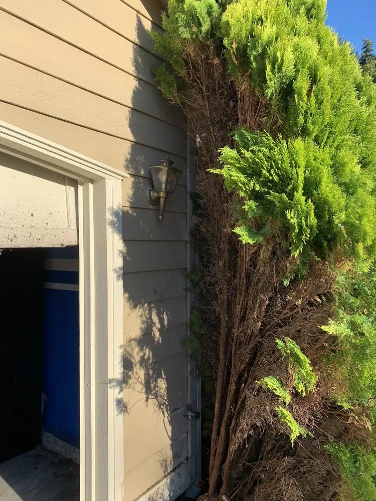 Slide of Good Plumber