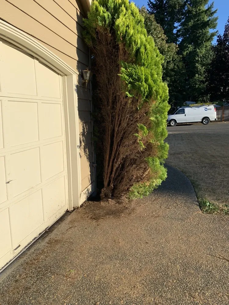 Slide of Good Plumber