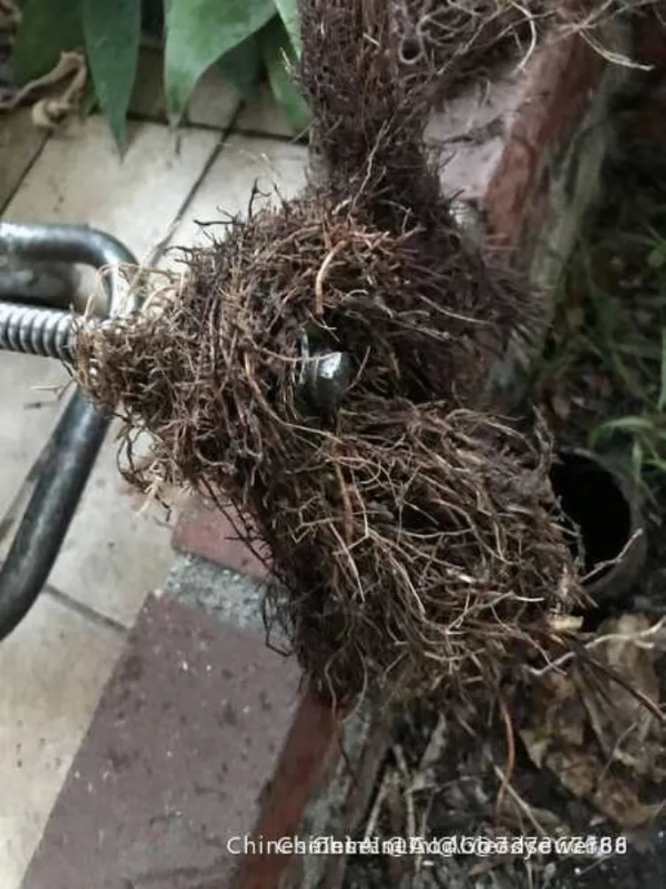 Slide of Good Plumber