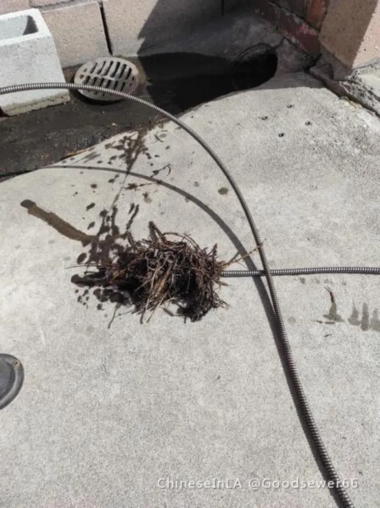 Slide of Good Plumber