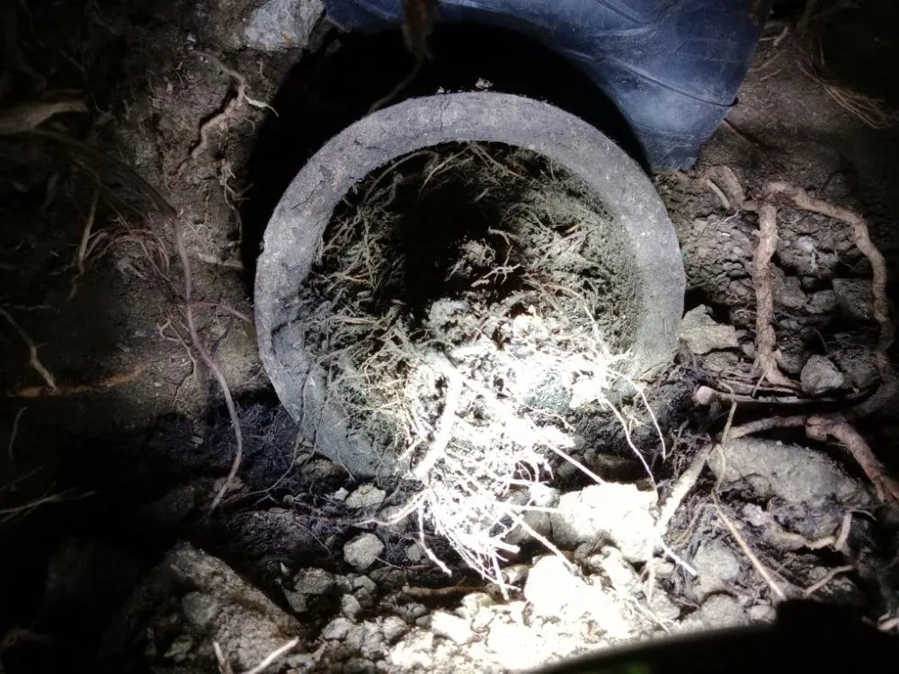 Slide of Good Plumber