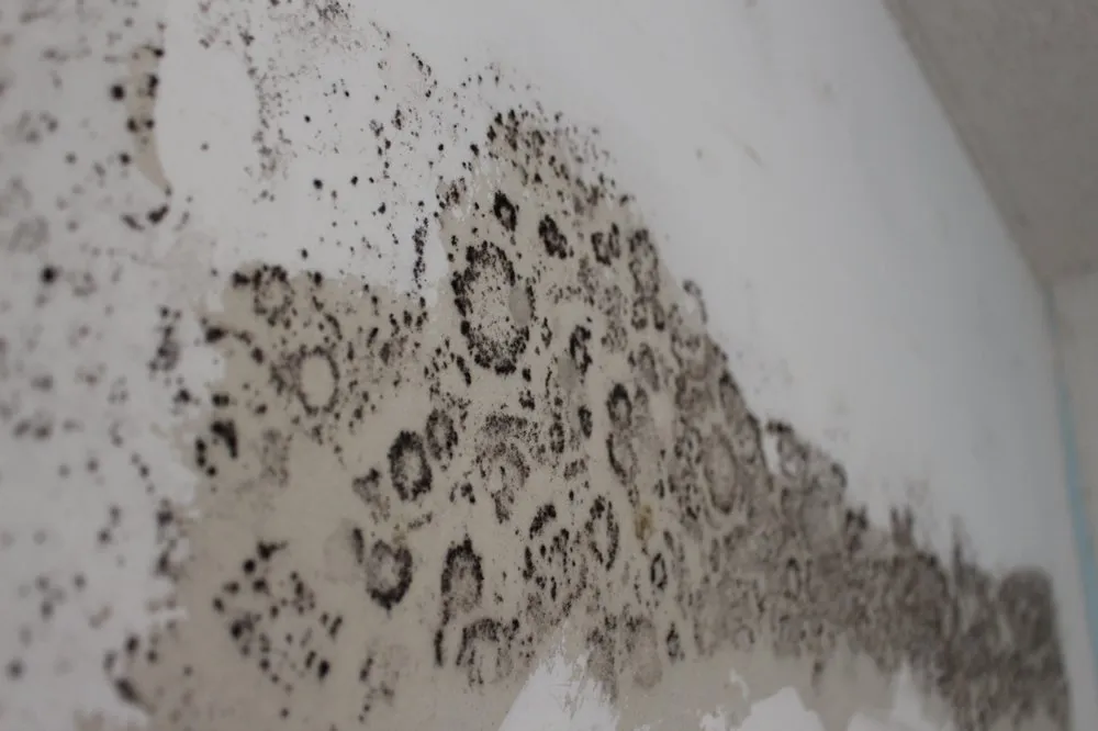 Reliable water heater service experts serving Chandler, AZ - Good Times Plumbing & Restoration