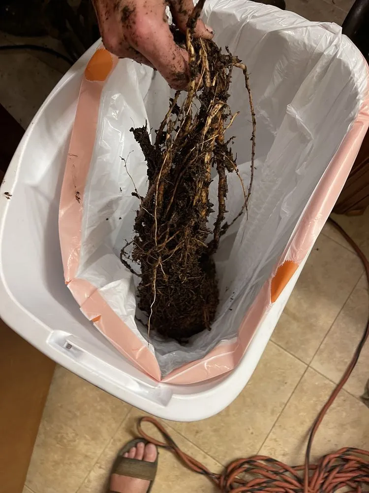 Slide of Goodbee Plumbing