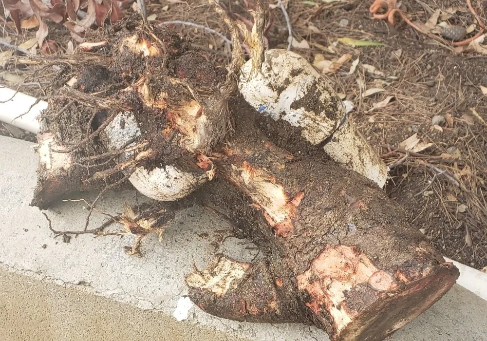 Slide of Goodfellow Plumbing Designs