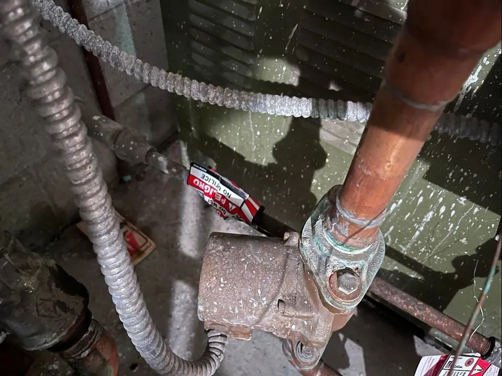 Expert emergency plumbing service in Santa Monica, CA - GoodGuy Plumbing