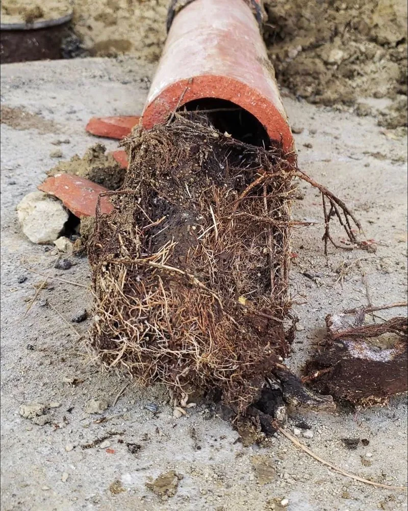 Slide of Gordon's Best Plumbing