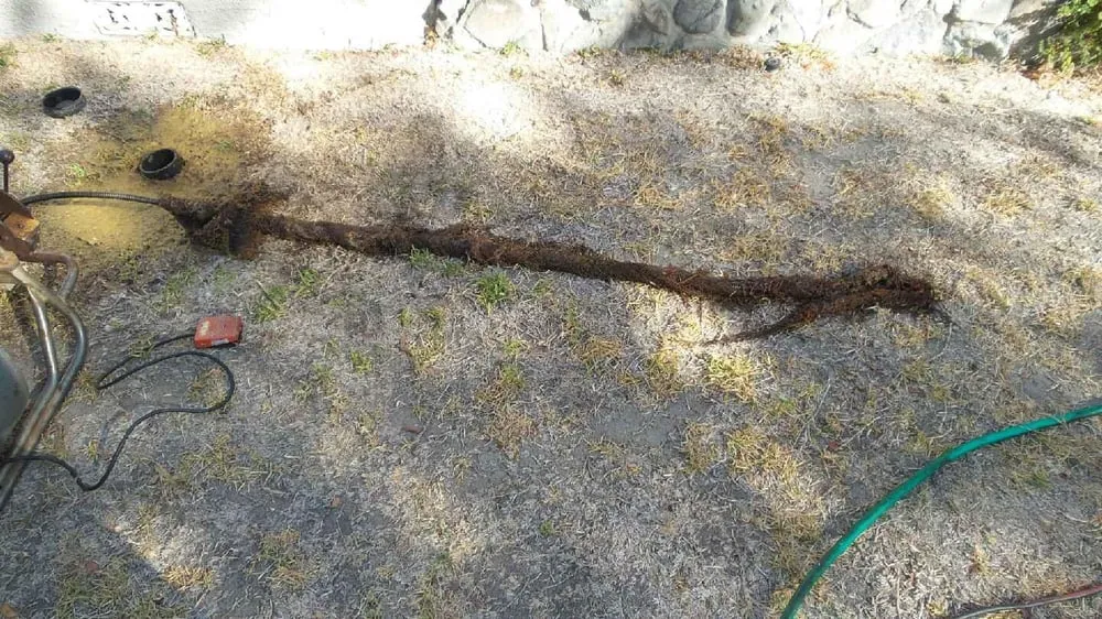 Top-rated emergency plumbing in Signal Hill, CA by Gorsuch Plumbing & Heating