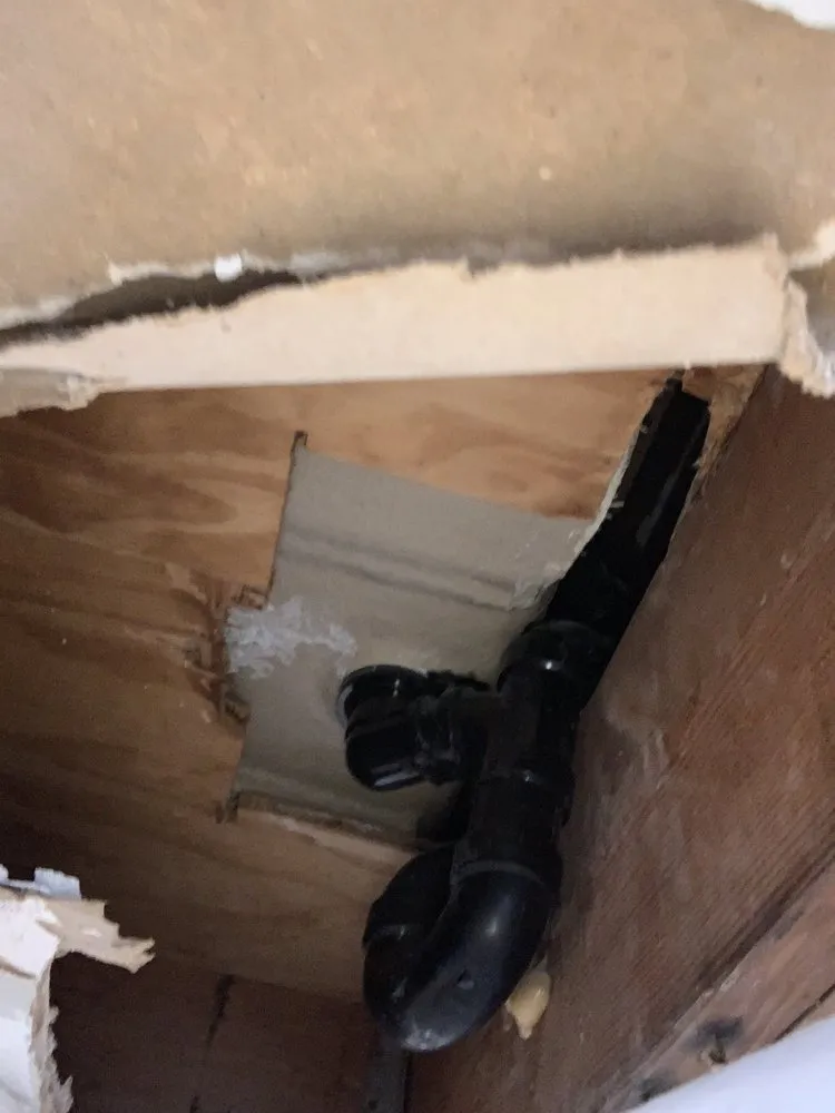 Slide of Got Plumbing