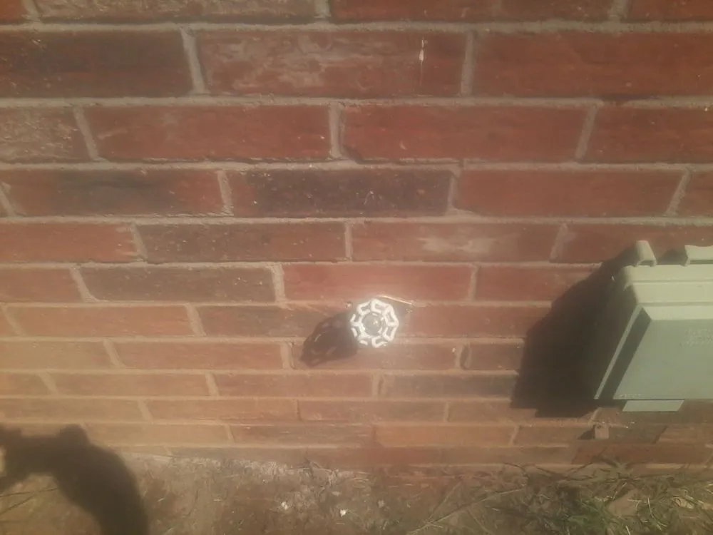 Slide of Gotchaplumber