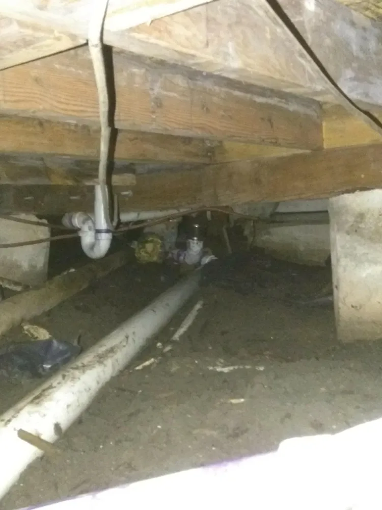 Slide of GP Plumbing