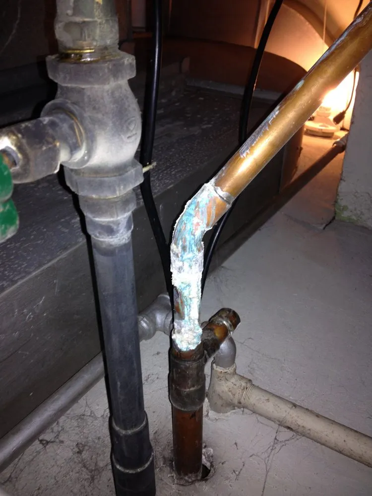 Slide of G&P Root Raiders