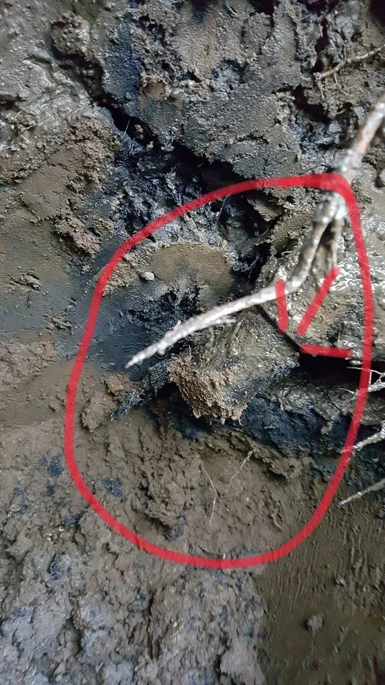 Slide of GP&R Home Services