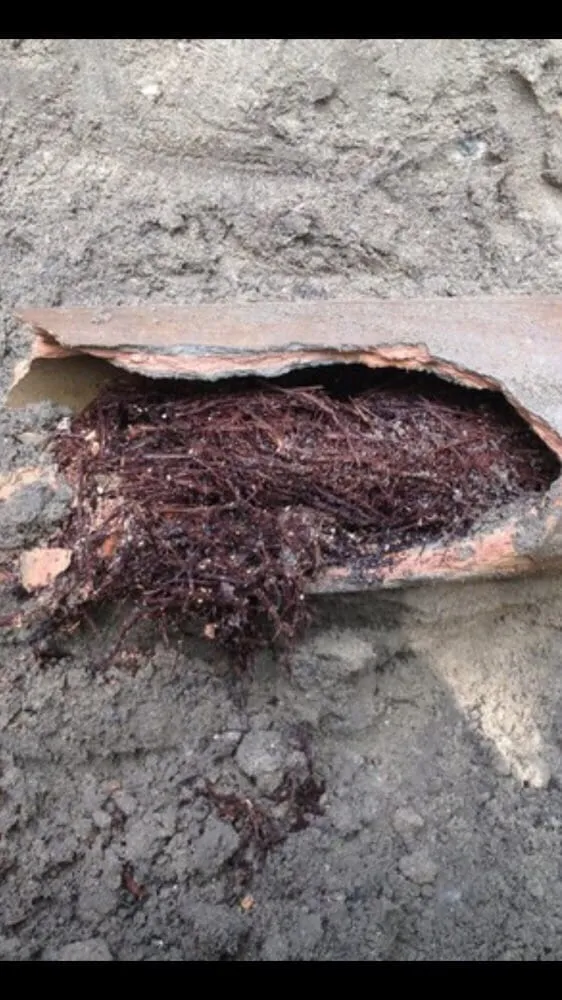 Slide of GR Plumbing