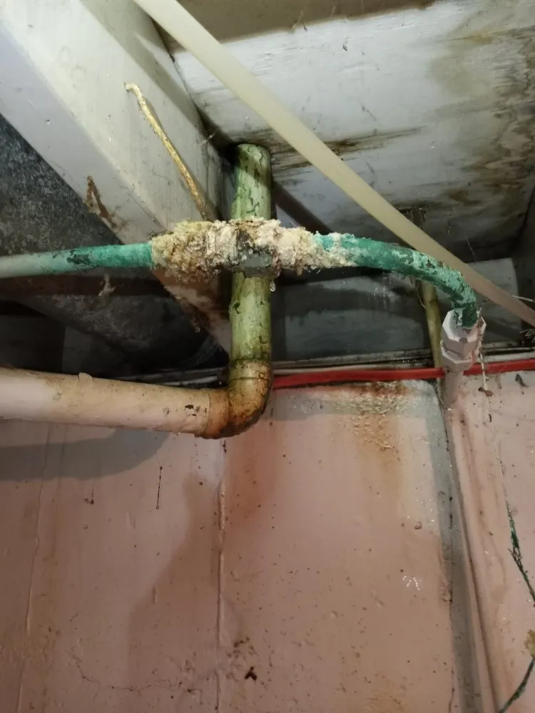 Slide of Graham's Installation's