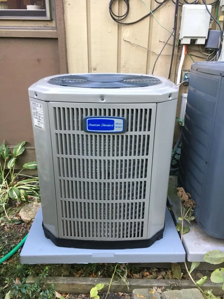 Slide of Grand Comfort