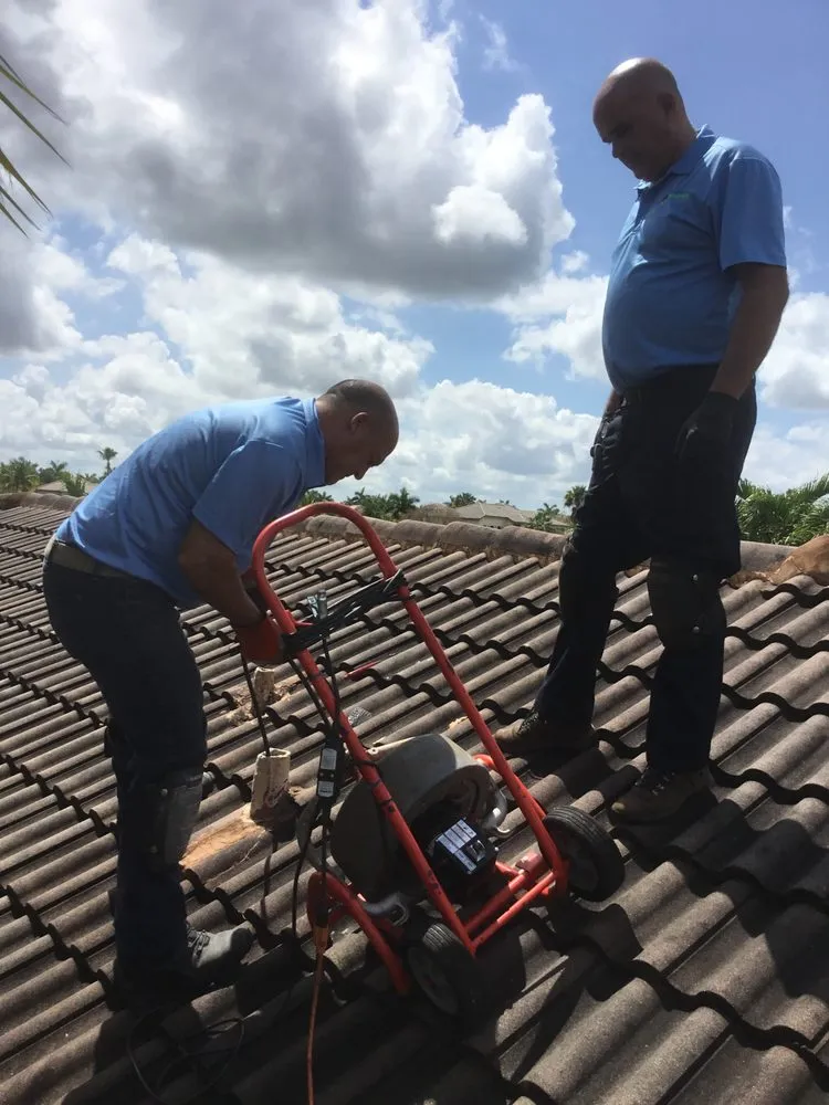 Slide of Grand Rooter