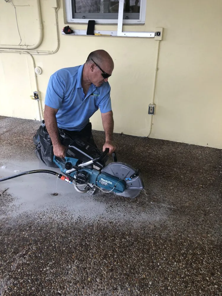 Slide of Grand Rooter