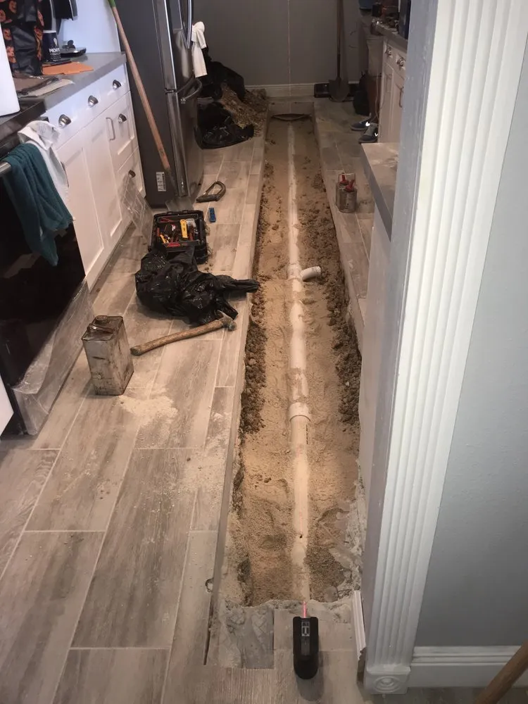 Slide of Grand Rooter