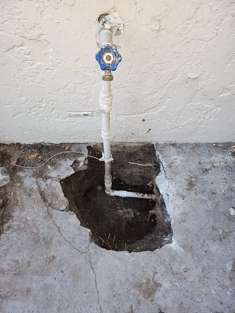 Slide of Grand Rooter