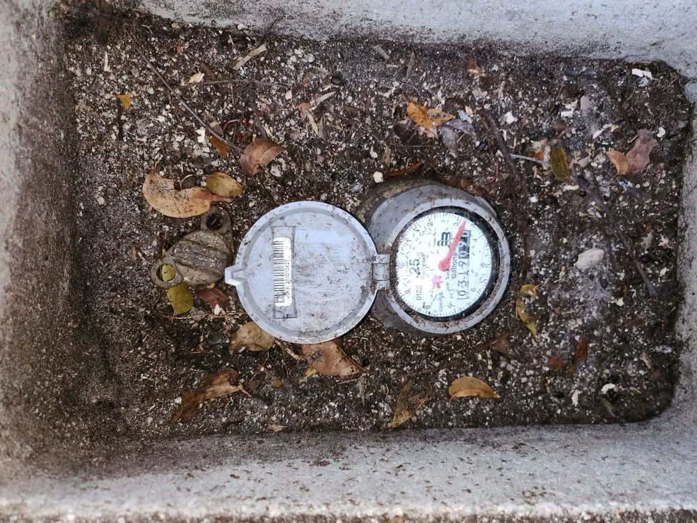 Slide of Grand Rooter