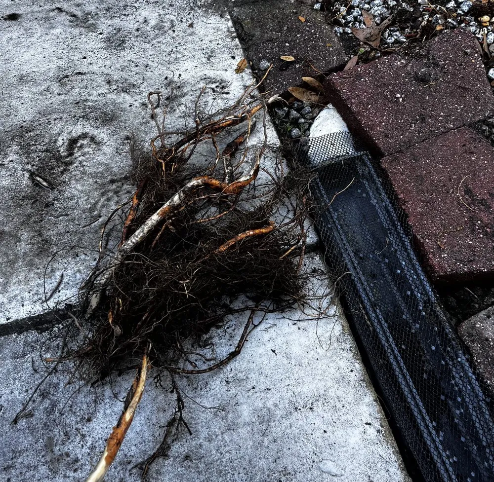 Slide of Grand Strand Sewer And Drain