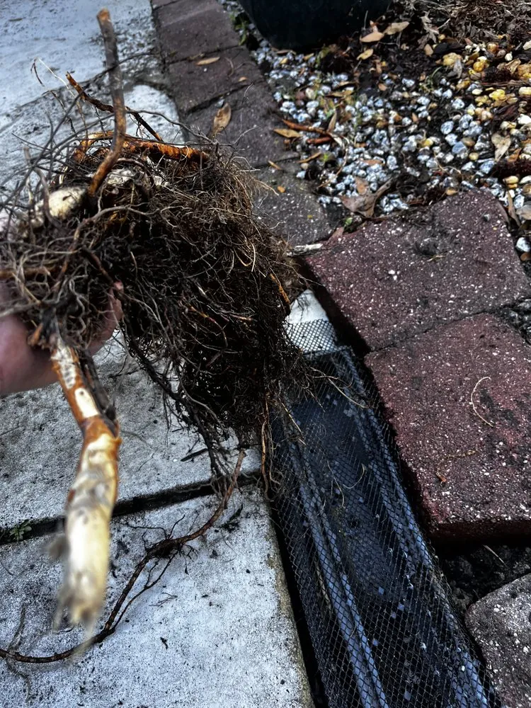 Slide of Grand Strand Sewer And Drain