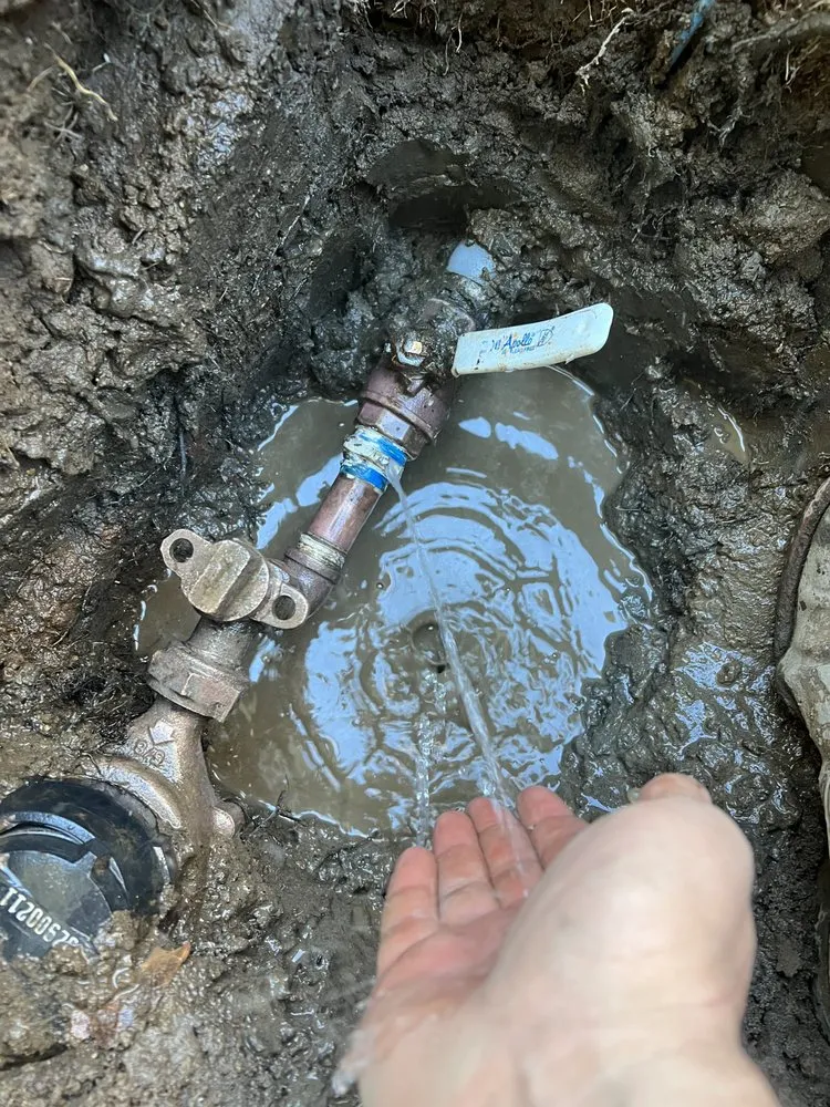 Slide of Granger Brothers Solution