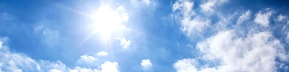 Slide of Granger’s