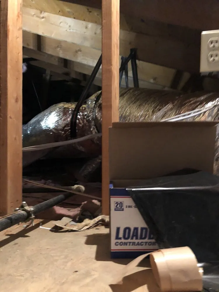 Slide of Granger’s