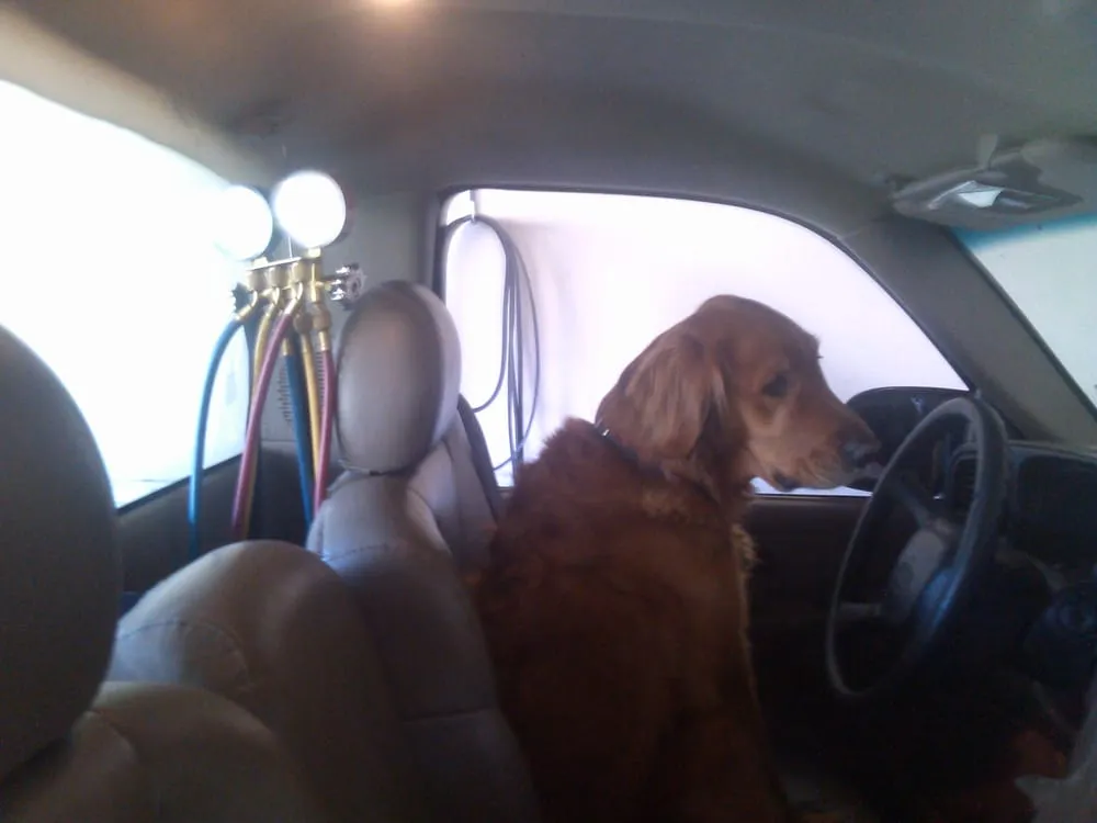 Affordable drain cleaning for homes in Palm Desert, CA by Grant Air Conditioning Plumbing & Heating