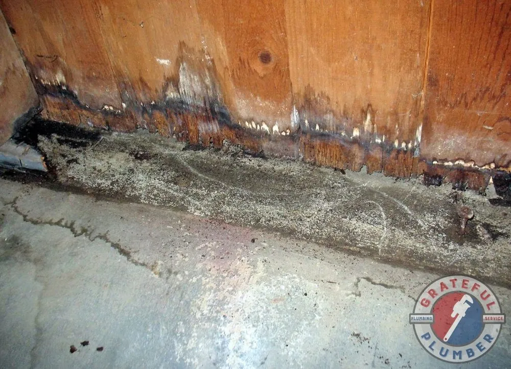 Quality emergency plumbing service in Indianapolis, IN - Grateful Plumber