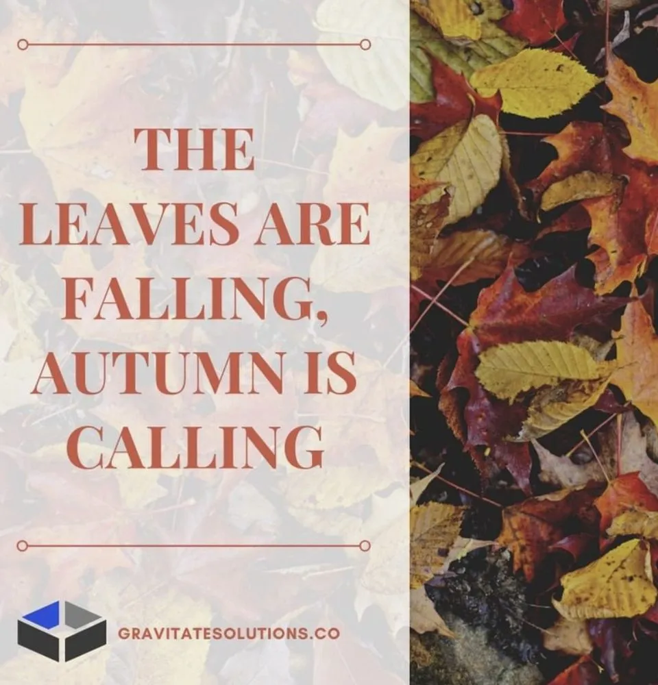 Slide of Gravitate Solutions