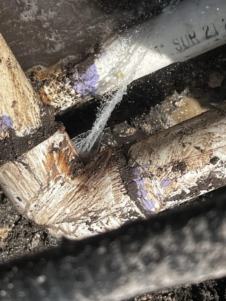 Slide of Grays Backflow Services