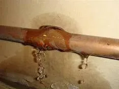 Slide of Gray's Plumbing