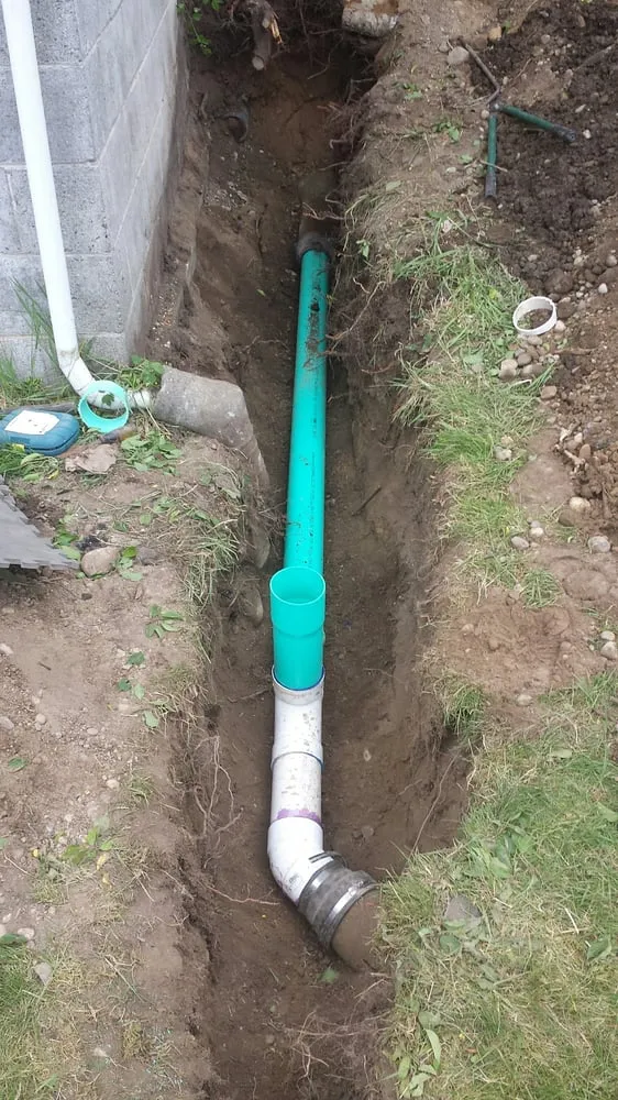 Slide of Gray's Rooter