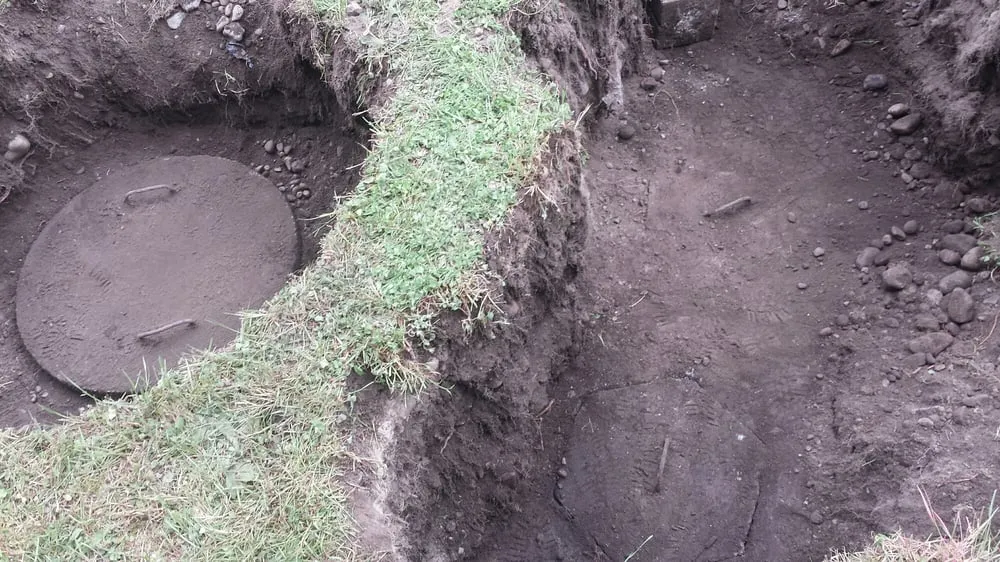 Slide of Gray's Rooter