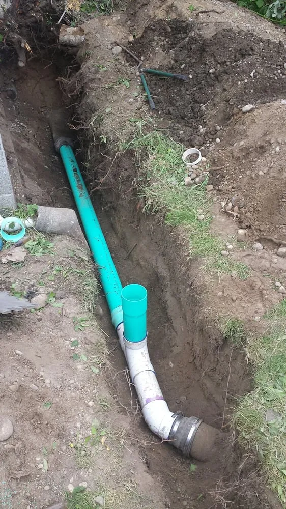 Slide of Gray's Rooter