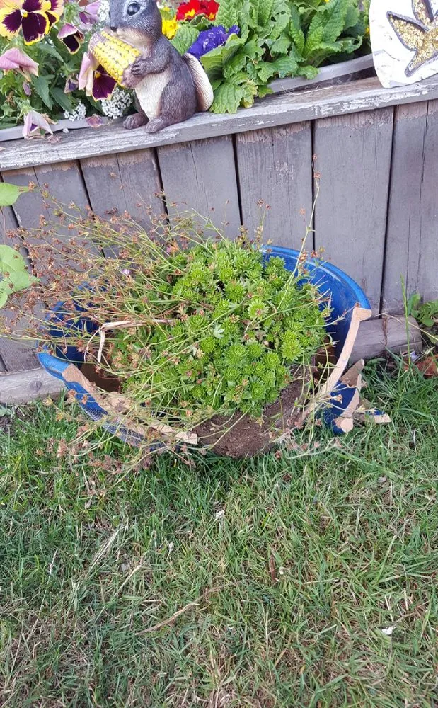 Slide of Grayson's Contracting