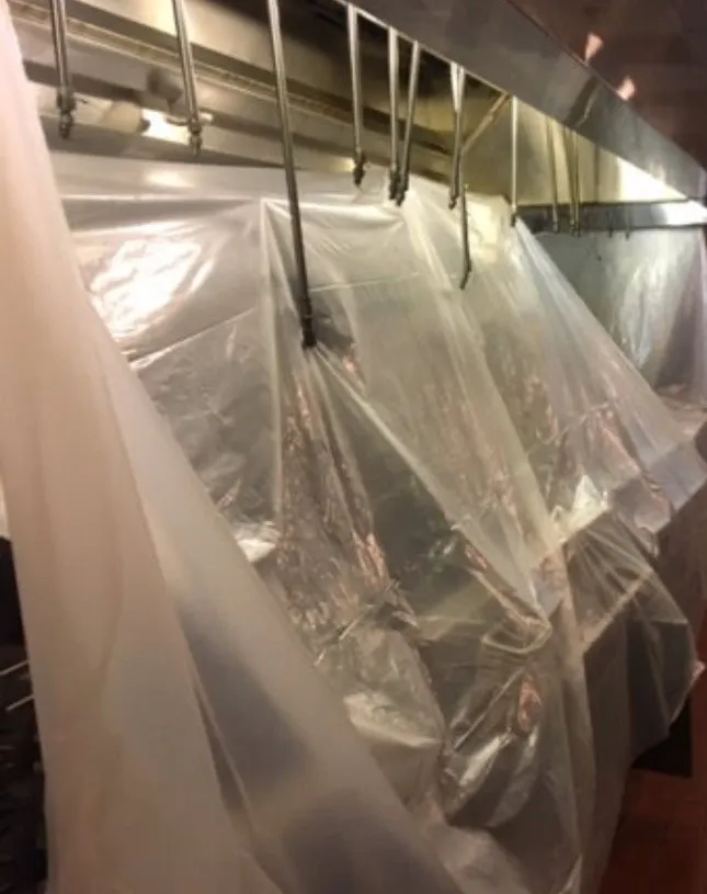 Slide of Grease Girl