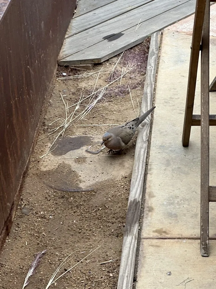 Slide of Grease Management Solutions