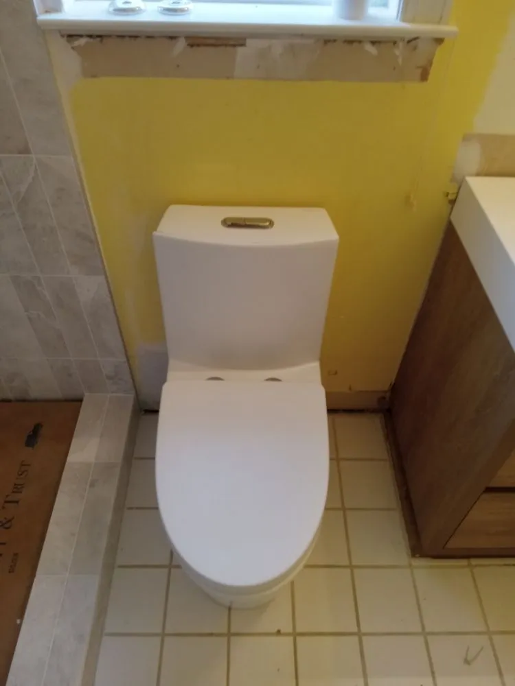 Expert pipe repair in Wilmington, NC by Great Scott Plumbing